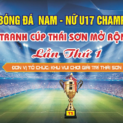 Avatar giải bóng đá nam U17 tranh cúp Thái Sơn mở rộng